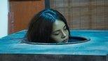The Missing Body