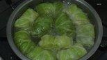 Cabbage Rolls